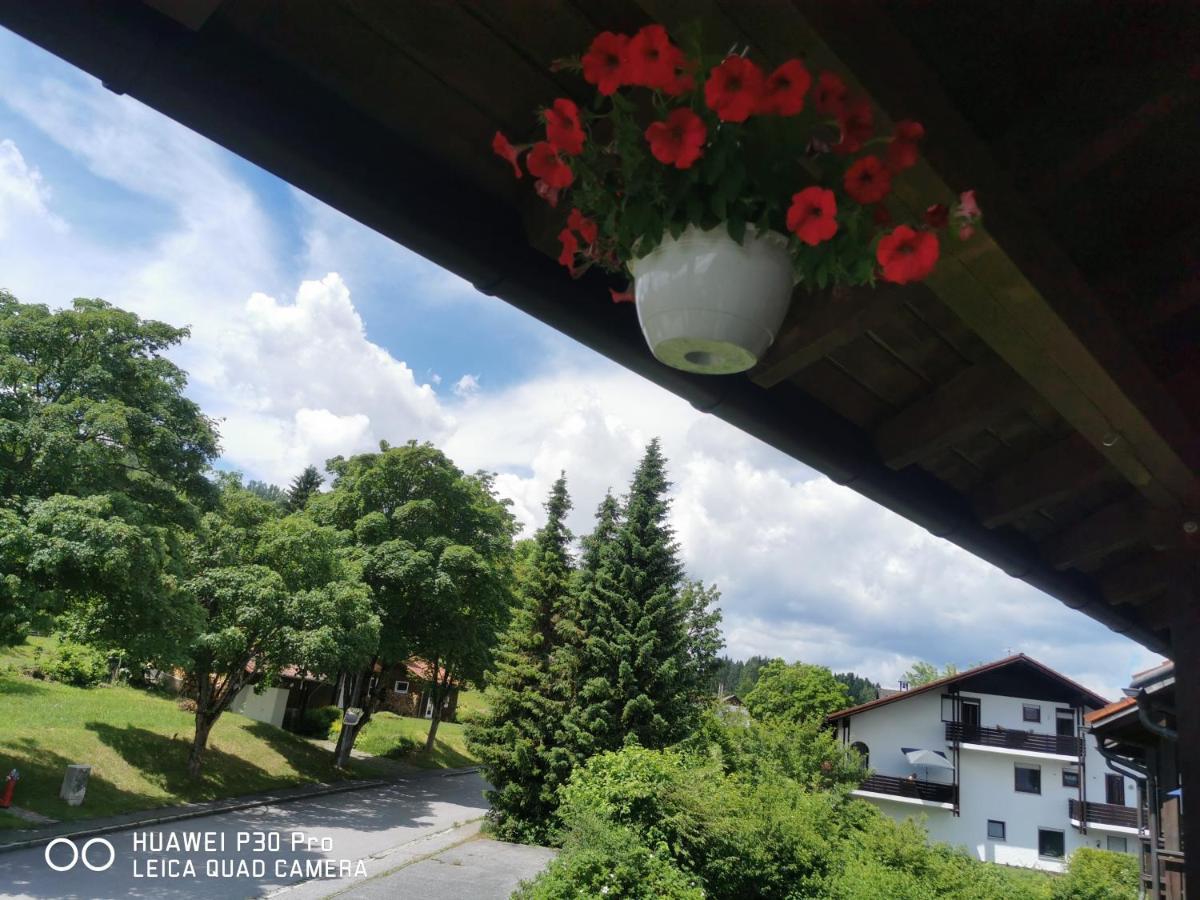 Aparthotel Chrysantihof - Bayerische Wald-Weber Zwiesel Kültér fotó